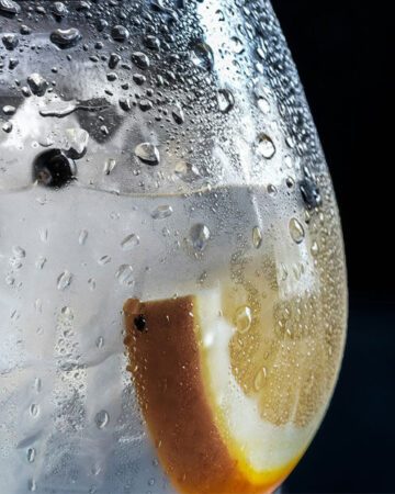 Welches Tonic Water zu welchem Gin?